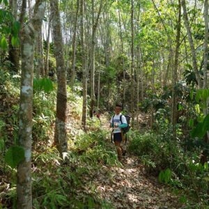 Jungle Trekking in Kiulu Valley, Sabah
