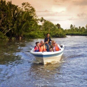 Cruise the Klias Wetlands River Cuise Tour Kota Kinabalu