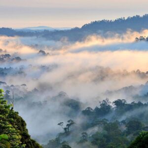 Danum Valley Package, Sabah, Malaysia