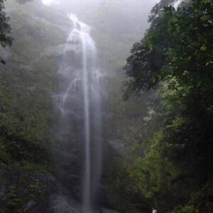 Danum Valley Package, Sabah, Malaysia