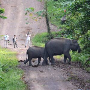 Danum Valley Package, Sabah, Malaysia