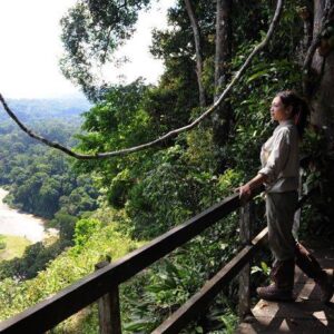 Danum Valley Package, Sabah, Malaysia