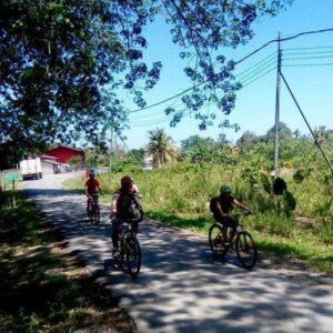 Enjoy a mountain biking day tour around Tuaran, Kota Kinabalu, Malaysia
