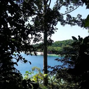 Pulau Gaya Jungle Trekking Day Tour