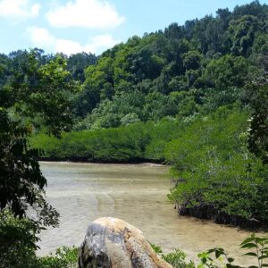 Pulau Gaya Jungle Trekking Day Tour