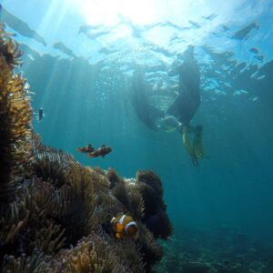 Unguided Snorkeling Tour, Kota Kinabalu, Sabah