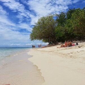 Turtle Island & Kinabatangan River Cruise Tour Sandakan | Borneo Dream Dive Shop