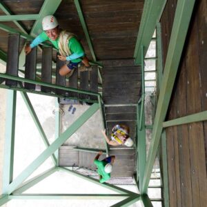 Ultimate Zip Borneo Half Day Tour, Sabah, Malaysia