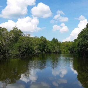 Kinabatangan river from Sepilok Reserve Trek to Sandakan