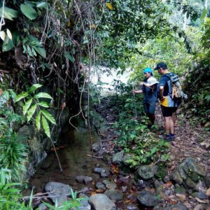 Join a Jungle Trek As Part of Your Mountain Biking Adventure in Borneo