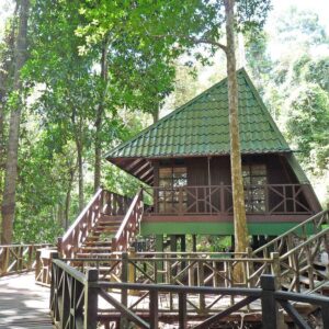 Tabin Wildlife Reserve - Hill Lodge at Tabin Wildlife Resort