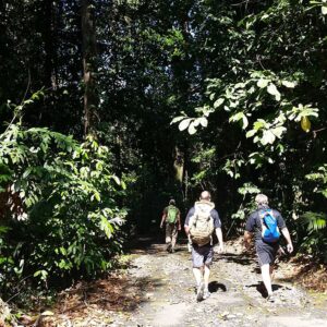 Trekking in Sepilok Laut Forest Reserve.