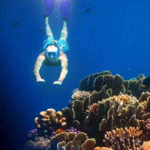 Guided snorkelling day tour in Kota Kinabalu, Sabah with Borneo Dream