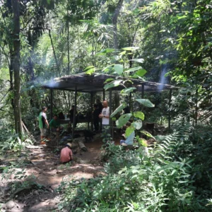 Kiulu River Rafting and Jungle Trekking Adventure | 3 Day | Sabah, Borneo