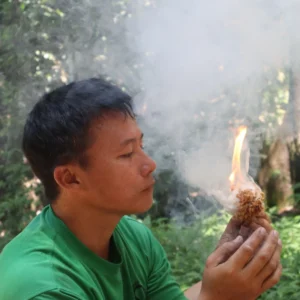 Kiulu River Rafting and Jungle Trekking Adventure | 3 Day | Sabah, Borneo