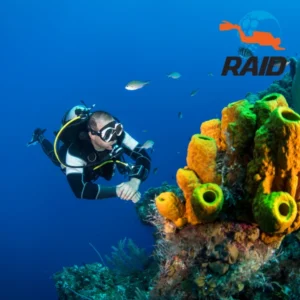 RAID Try Dive Experience in Kota Kinabalu, Sabah with Borneo Dream